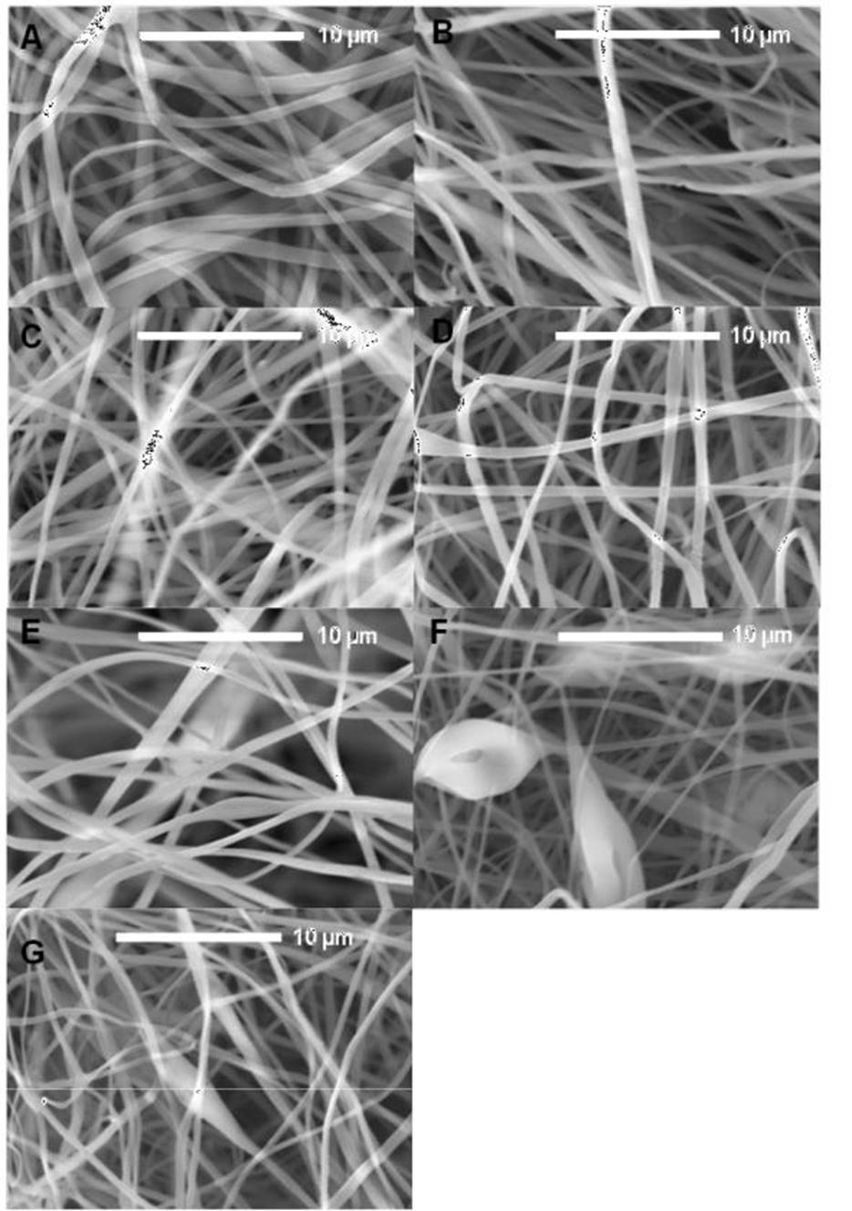 Poly Lactic Acid Electrospun Fibers Loaded With Rumex Hymenosepalus