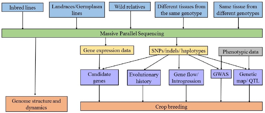 Putative Genomic Regions Under Natural Selection A Natural Selection