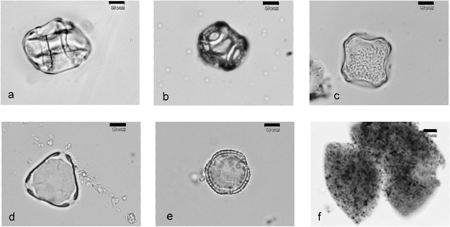 Climate Change And Peopling Of The Neotropics During The Pleistocene 