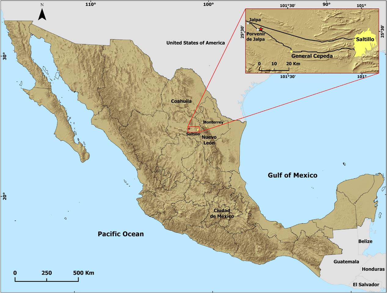 First Occurrence Of Parksosauridae In Mexico, From The Cerro Del Pueblo 