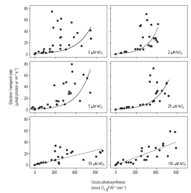 Effect Of Irradiance And Nitrate Levels On The Relationship Between