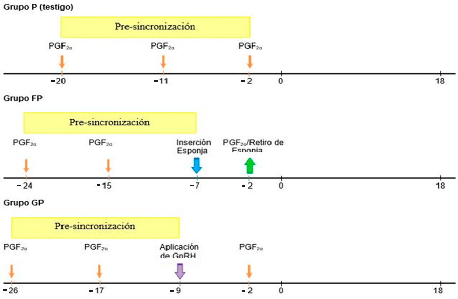 Sincronizaci N Del Estro En Ovejas De Pelo Mediante Protocolo Basado En