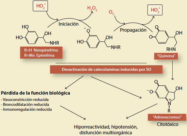 Especies Reactivas De Oxigeno