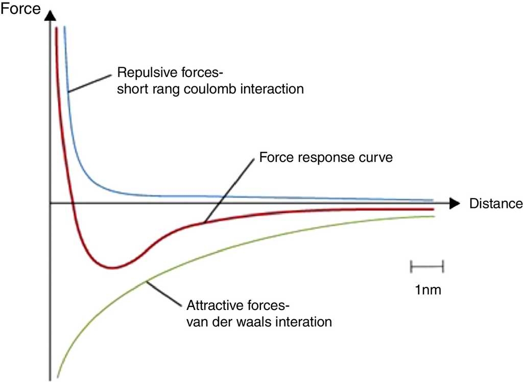 three-dimensional-3d-percolation-network-structure-key-to-form