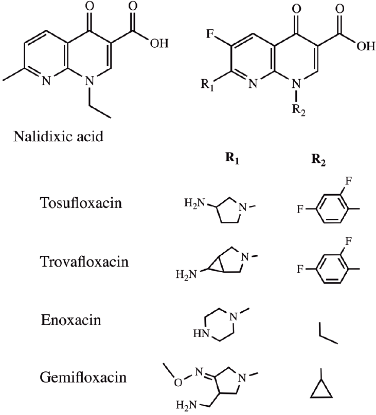 Microwave Assisted Synthesis Of Ethyl Chloro Oxo L Dihydro