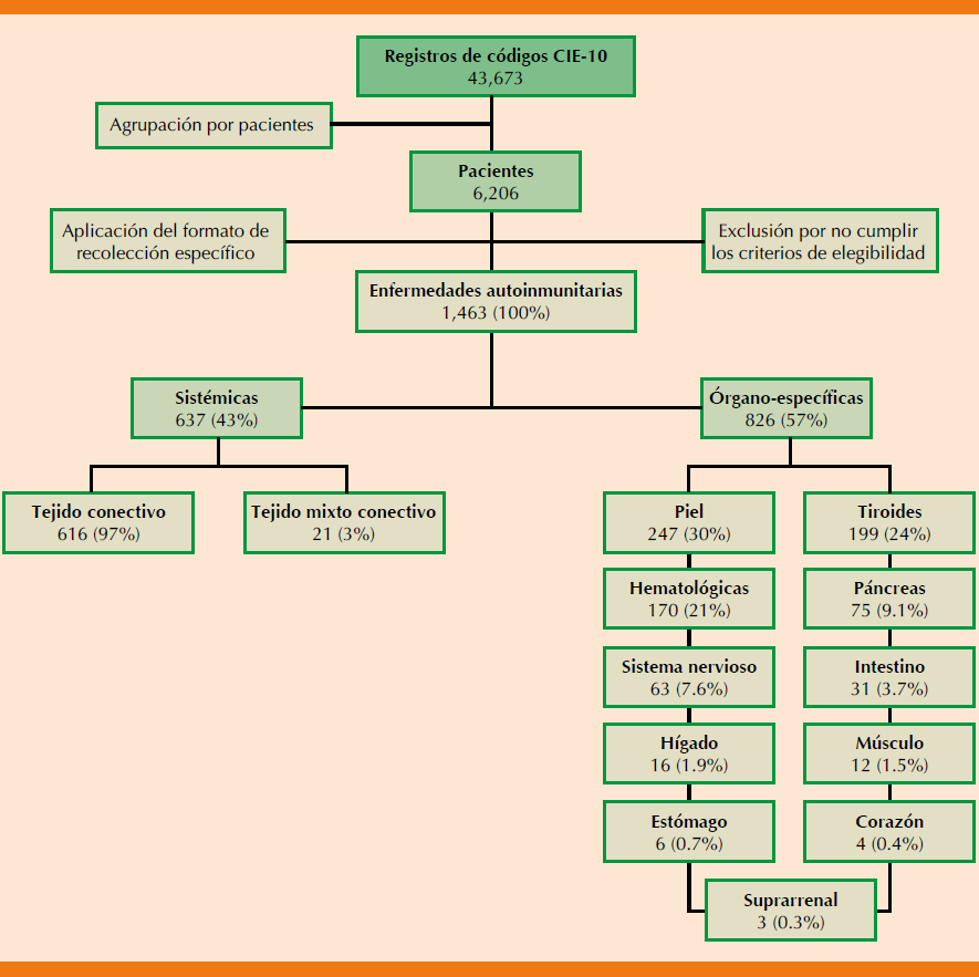Prevalencia Y Caracterizaci N De Las Enfermedades Autoinmunitarias En