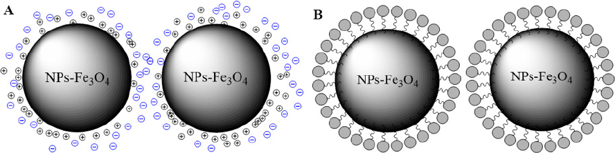 S Ntesis Verde De Nanopart Culas De Magnetita Nps Fe O Factores Y