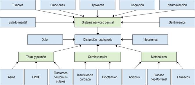 Patrones De Respiraci N Respiratoria