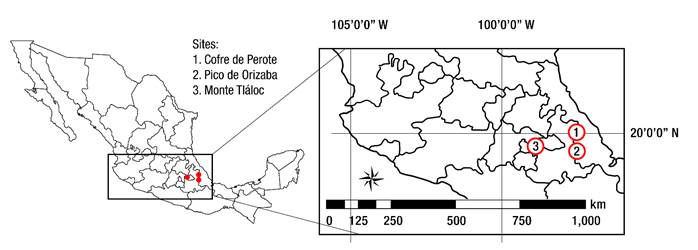 Growth Ring Components Of Pinus Hartwegii Lindl At The Altitudinal