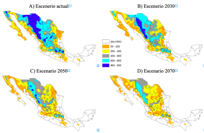 Disminución de las horas frío como efecto del cambio climático en México