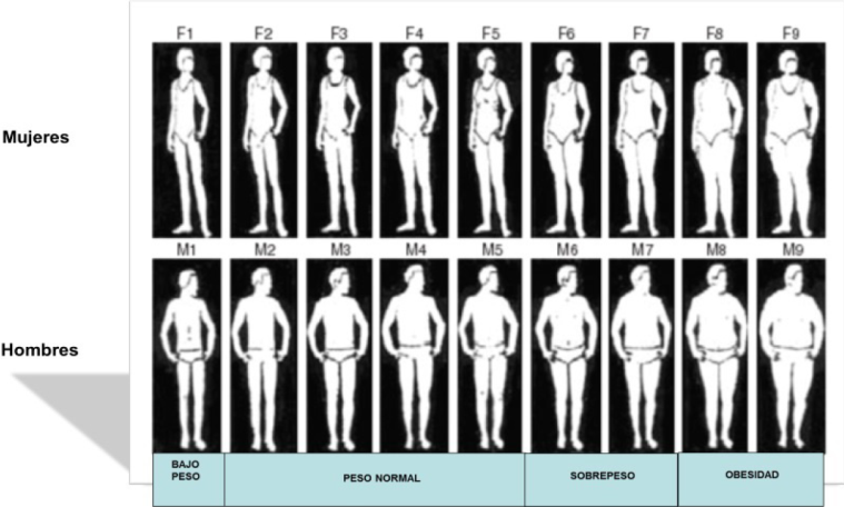 Concordancia Del Imc Y La Percepci N De La Imagen Corporal En