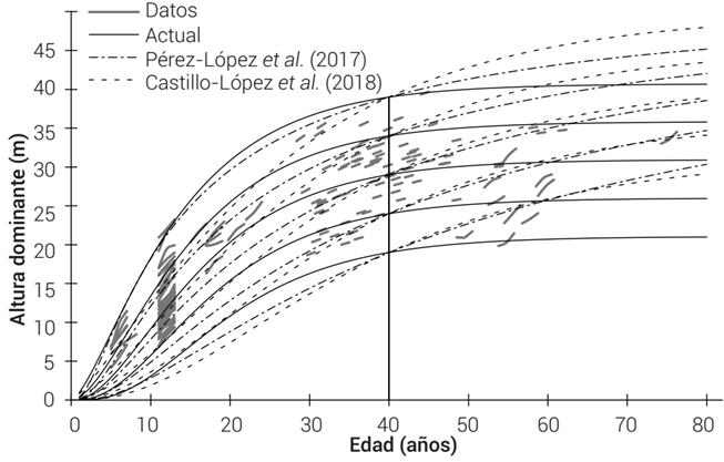 Ecuaciones Din Micas De Crecimiento En Altura Dominante E Ndice De