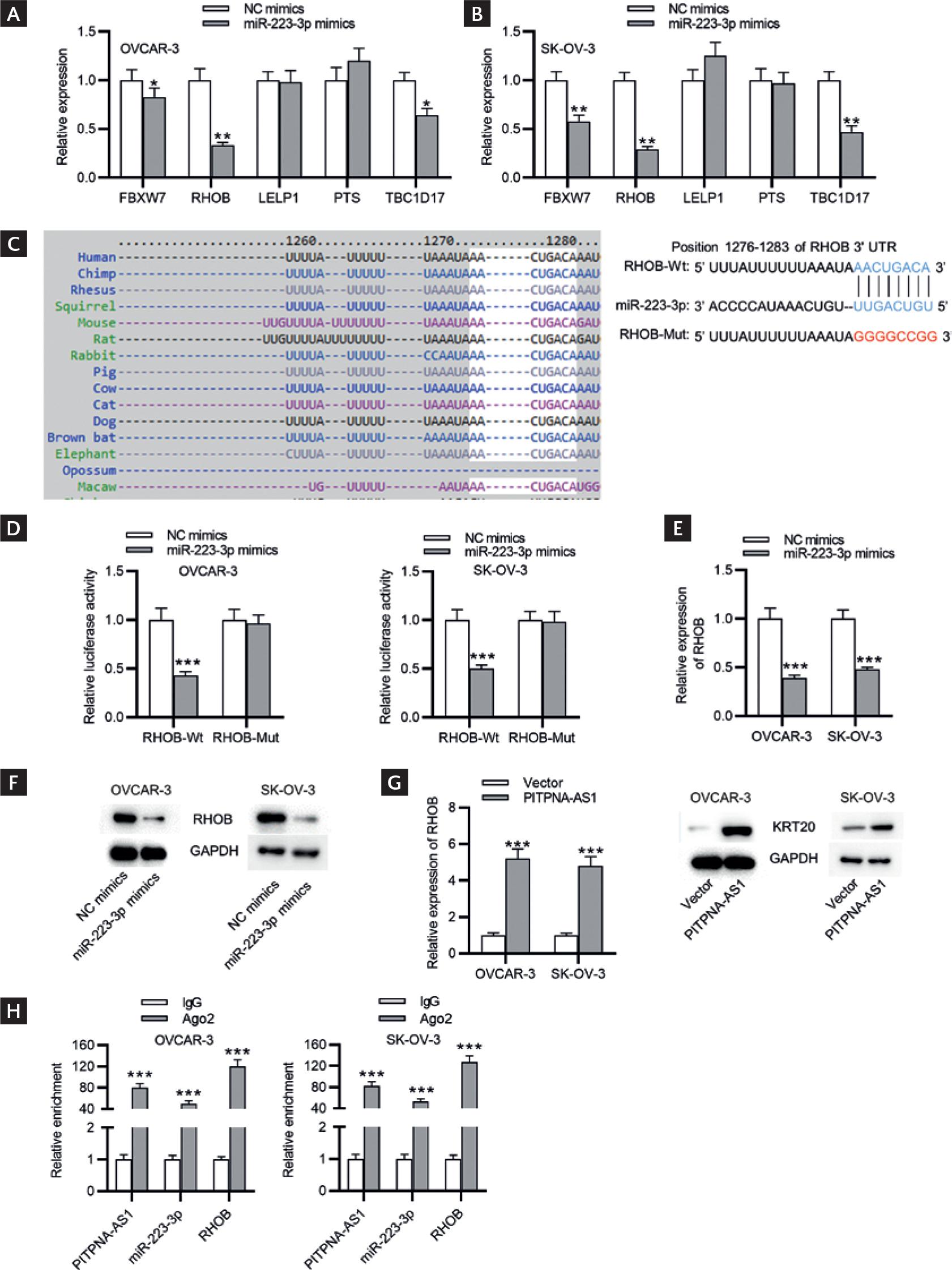 Pitpna As Inhibits Cell Proliferation And Migration In Ovarian Cancer