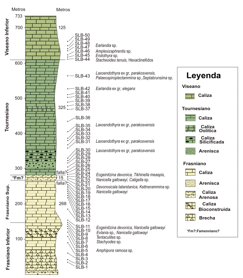 Bioestratigraf A Del Dev Nico Superior Y El Carbon Fero Inferior