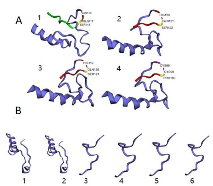 Genetic Analysis Of The Fungicide Resistance In Fusarium Oxysporum