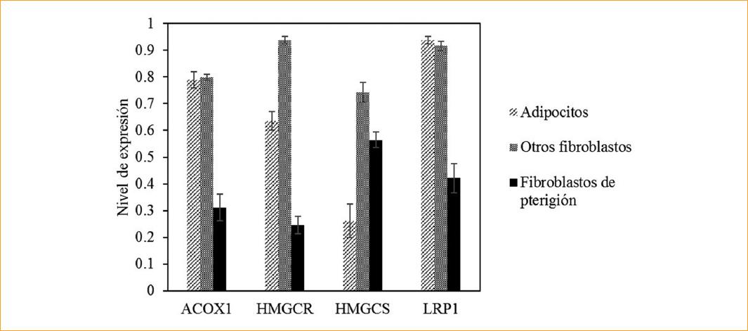 Expresi N De Genes Del Metabolismo De L Pidos Y Colesterol En