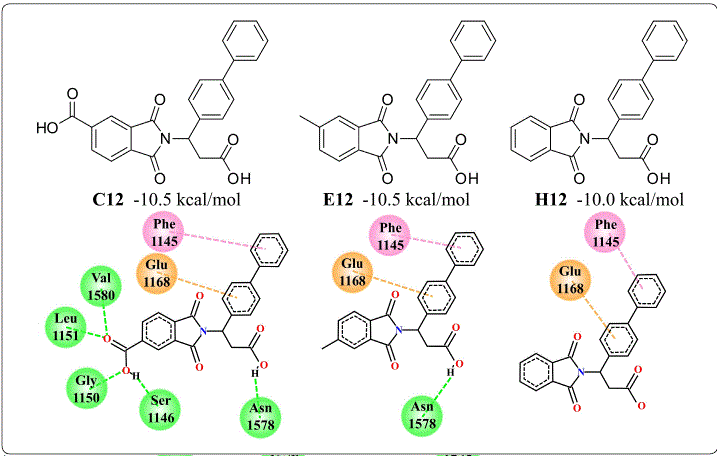 In Vitro And In Silico Biological Evaluation Of Phthalimide Derivatives