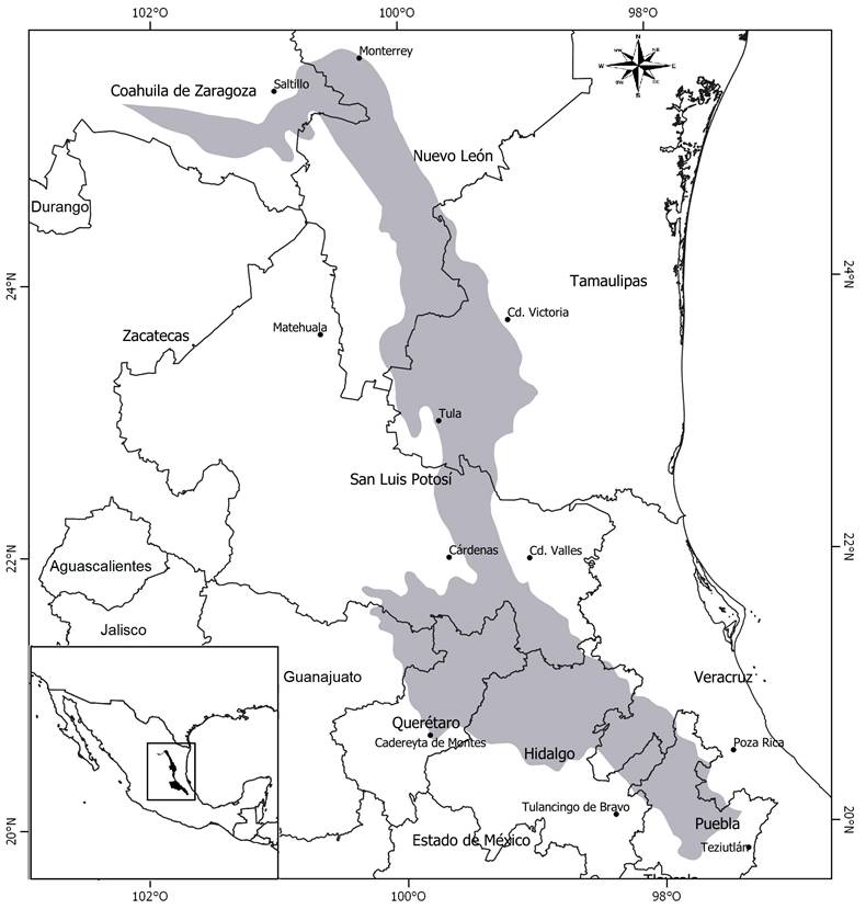 
							Provincia fisiográfica de la Sierra Madre Oriental de México (SMOR), mostrando en gris la delimitación de las áreas de distribución natural de Abies vejarii Martínez, en México.
						