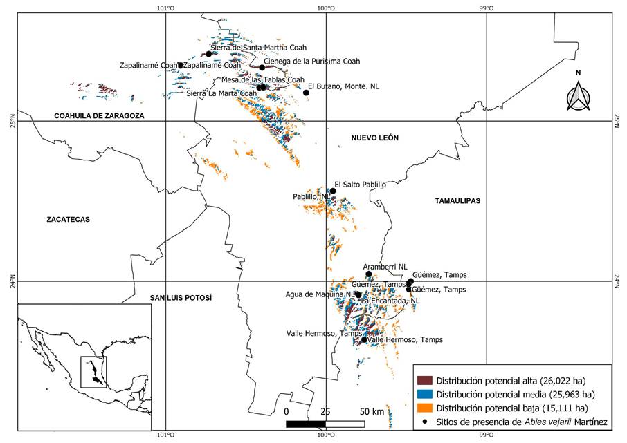 
							Proyección geográfica del modelo de distribución potencial de Abies vejarii Martínez en el noreste de México.
						