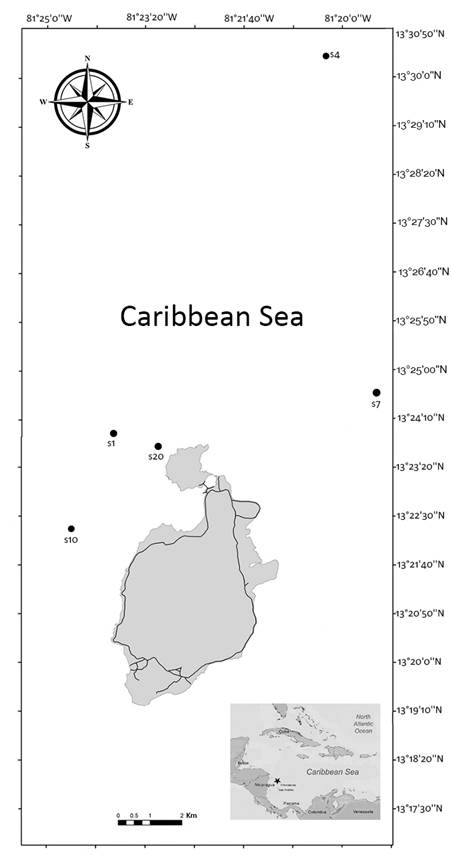 Notes on the marine algae of the International Biosphere Reserve ...