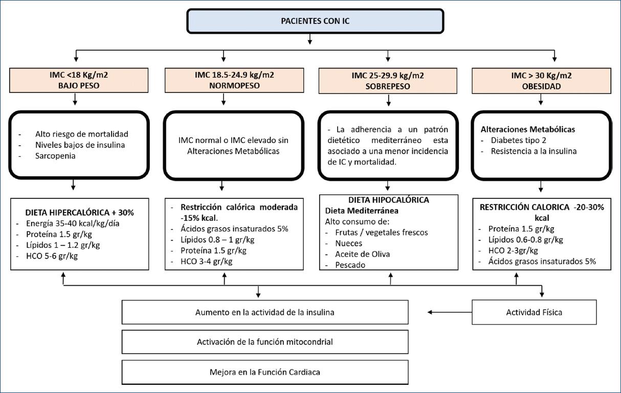 Implicaciones Médicas Y Nutricionales En Insuficiencia Cardiaca Crónica ...