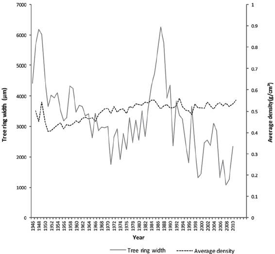 Measuring temporal wood density variation improves carbon capture ...