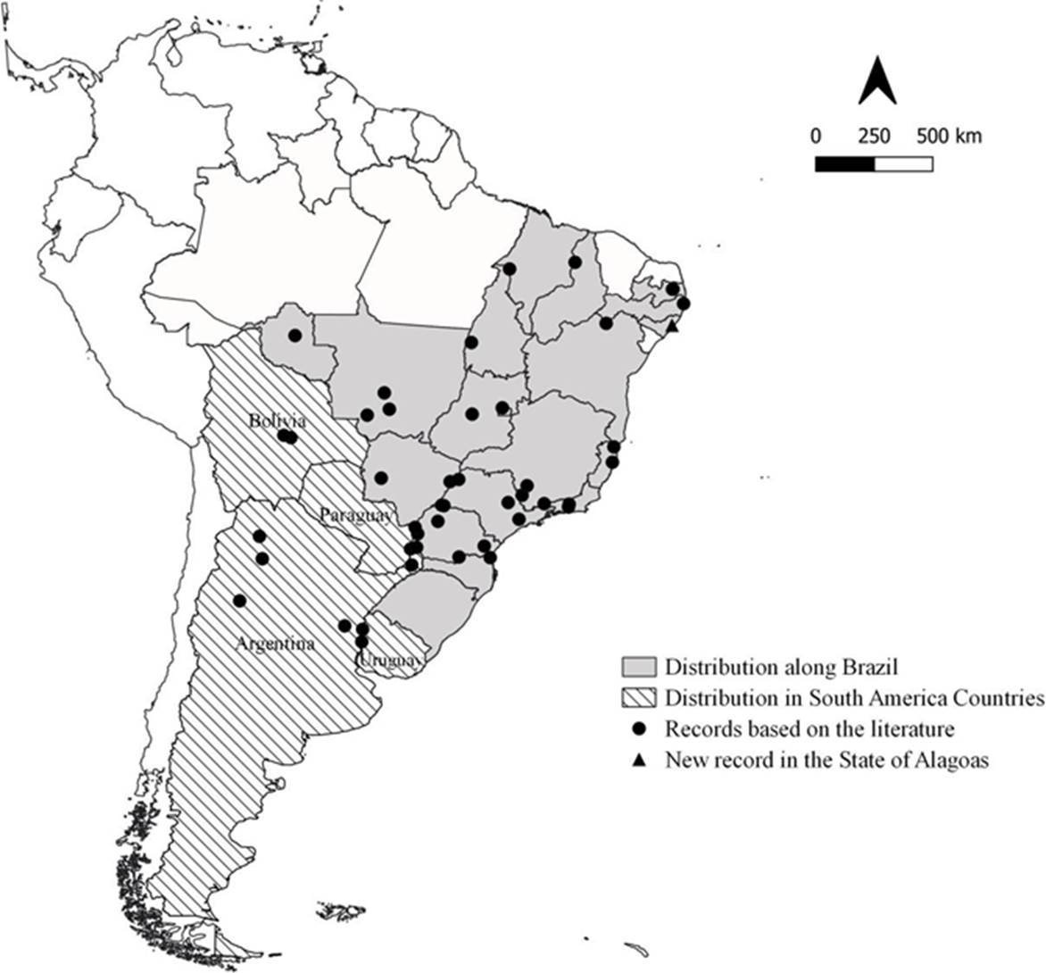 Notes on the life history of Aguna megacles megacles (Mabille, 1888 ...