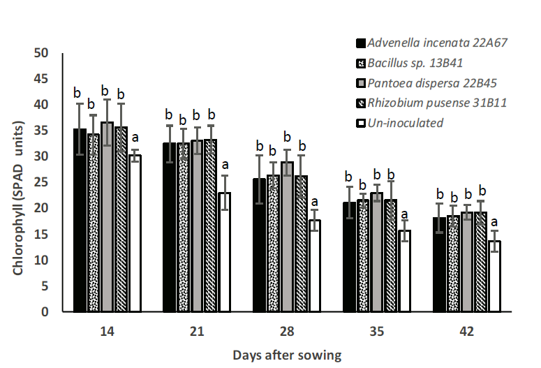 Characterization Of Native Plant Growth-promoting Bacteria (PGPB) And ...