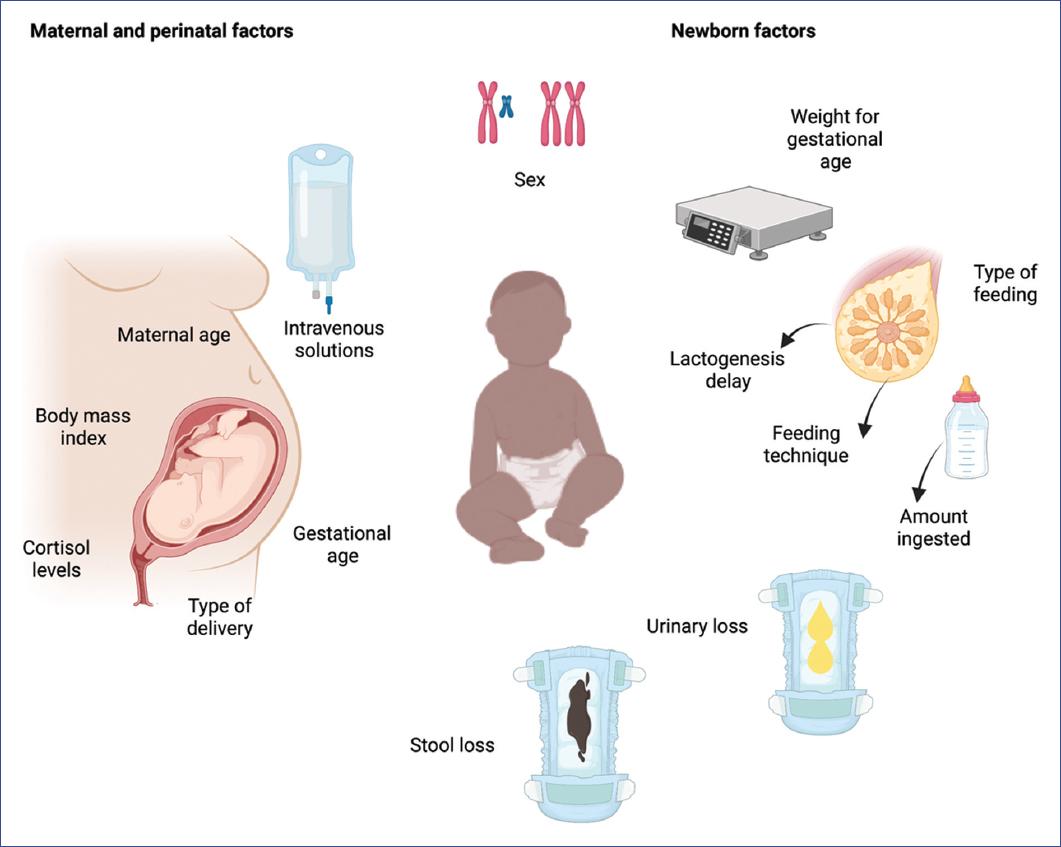 percentage-of-birth-weight-loss-as-a-reference-for-the-well-being-of