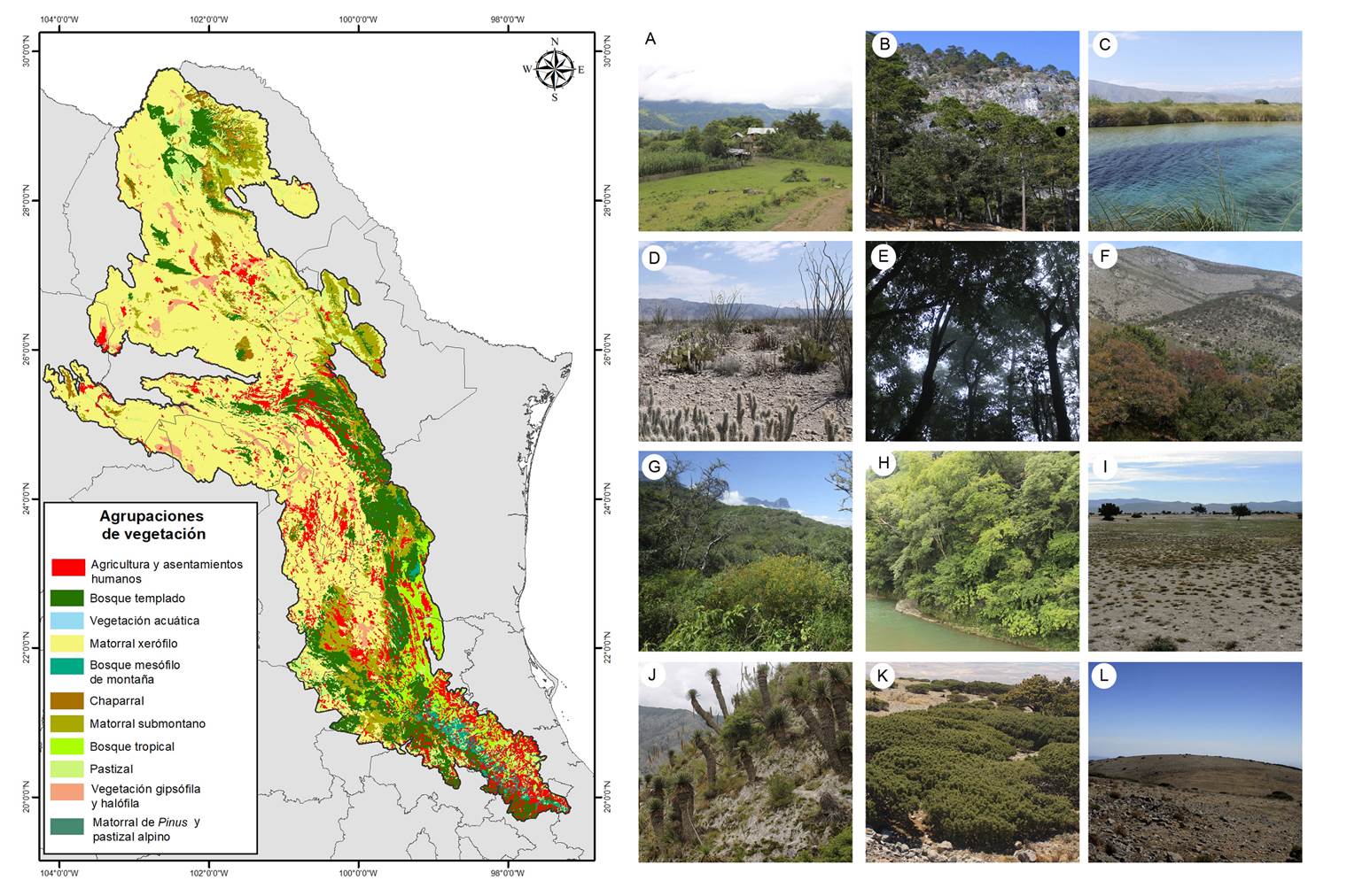 Diversidad De Plantas Vasculares De La Provincia Fisiográfica De La ...