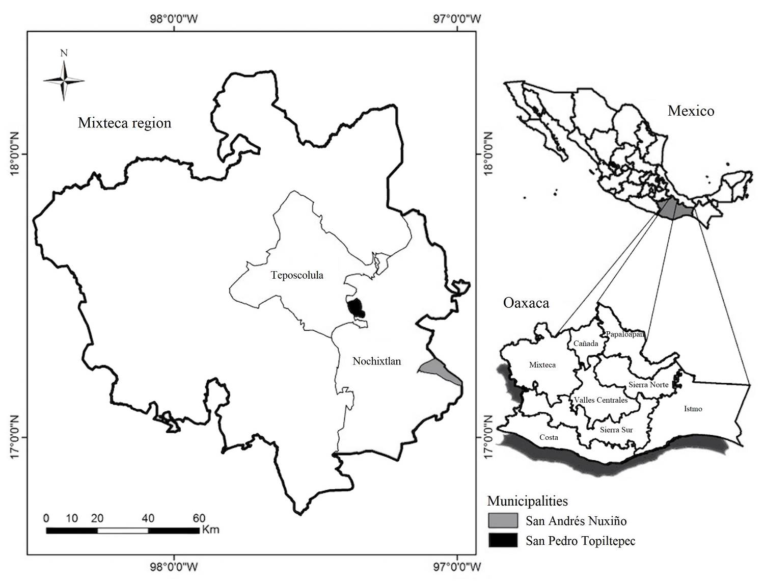 Ethnobotany of medicinal flora in two communities of the Mixteca Alta ...