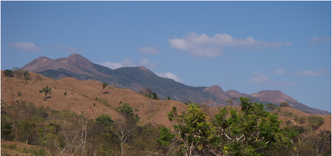 The mineral deposits of Panama: Arc metallogenesis on the trailing edge ...