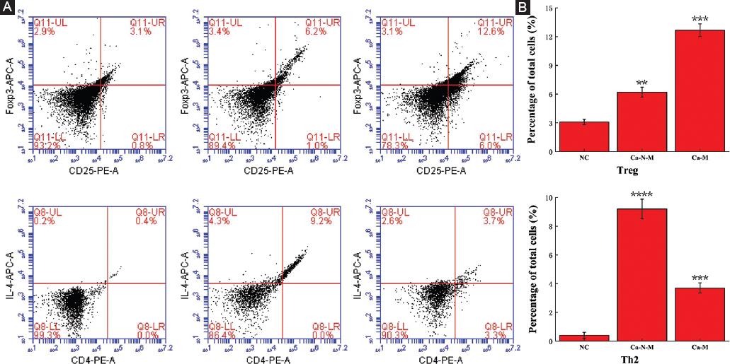 The increased ratio of Treg/Th2 in promoting metastasis of ...