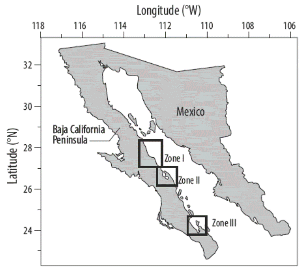 Temporal changes in the biomass and distribution of Sargassum beds ...