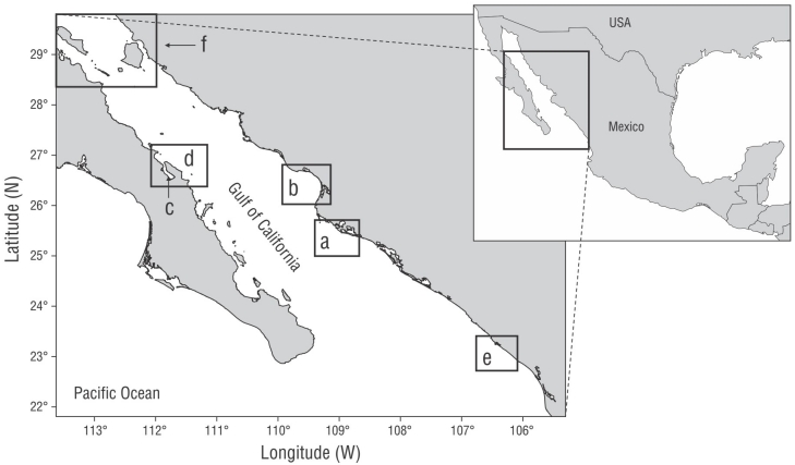 Factors determining the ocean-atmosphere CO2 flux variability in 5 ...