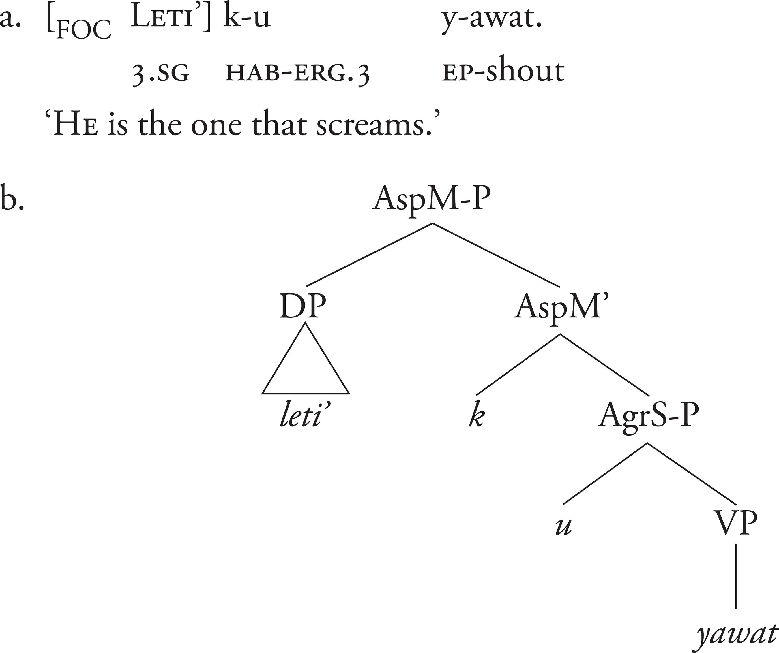 clefts-and-focus-in-yucatec-maya