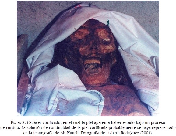 El singular dios maya de la muerte bajo la mirada actual de las ciencias  biológicas forenses