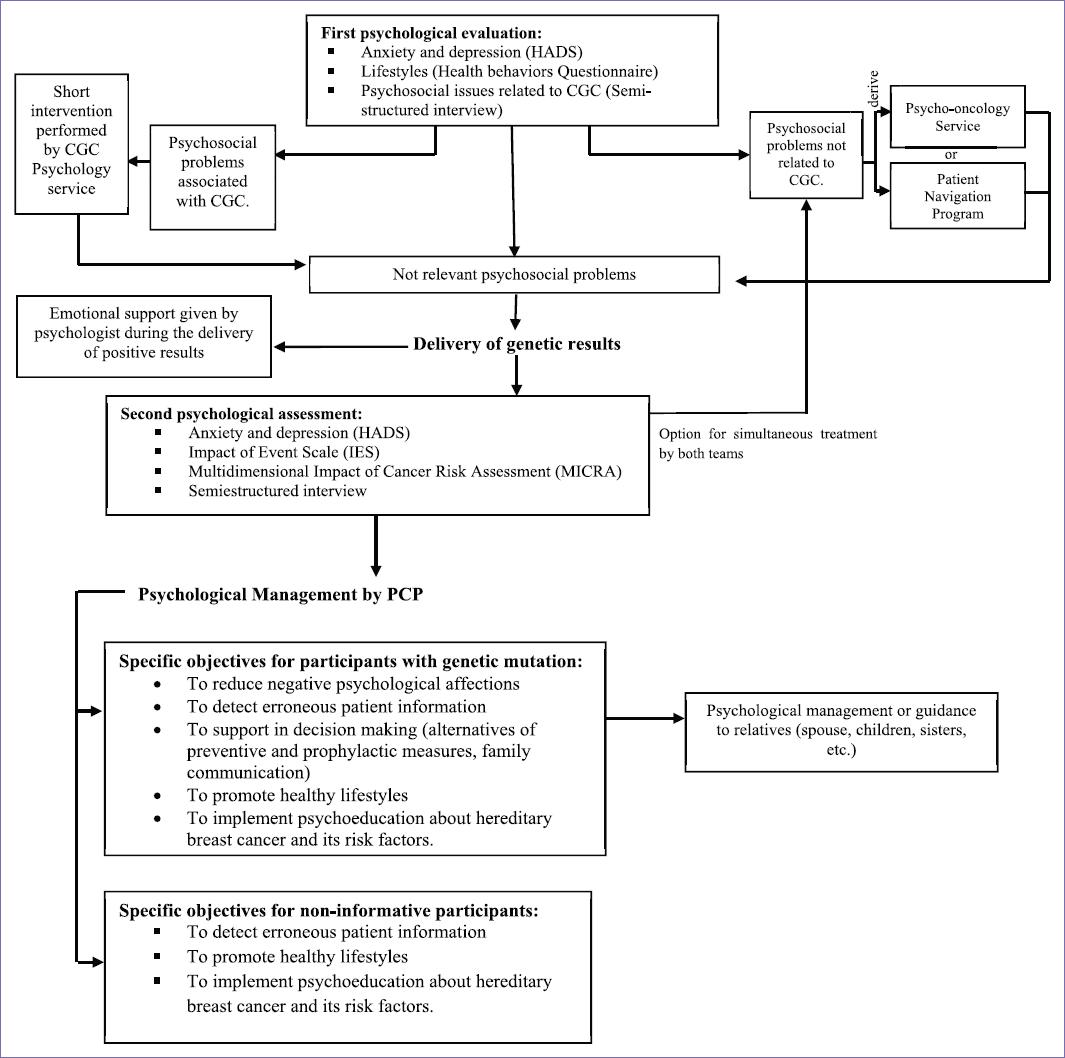 Psychological care program for participants of cancer genetic ...