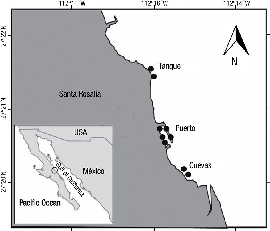 New floristic records of benthic diatoms (Bacillariophyceae) from the ...