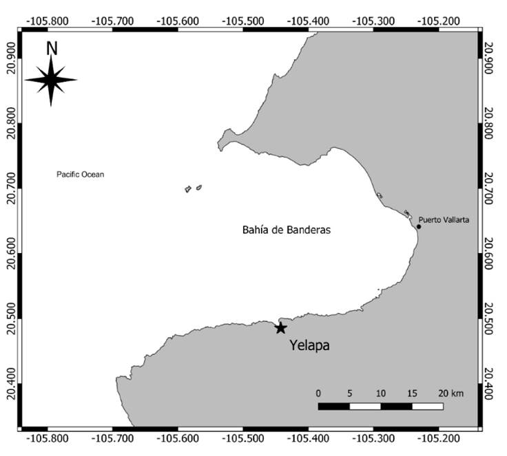 Trophic network structure and dynamics simulations of the rocky-reef ...