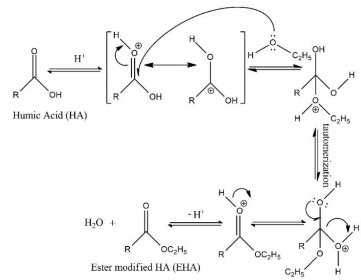 Design and synthesis of the polyvinyl chloride (PVC) membrane for Fe ...