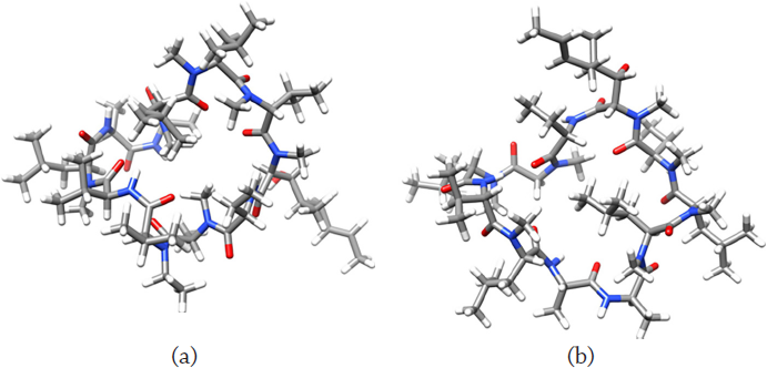 Computational Nanochemistry Study Of The Alisporivir And Cyclosporin ...