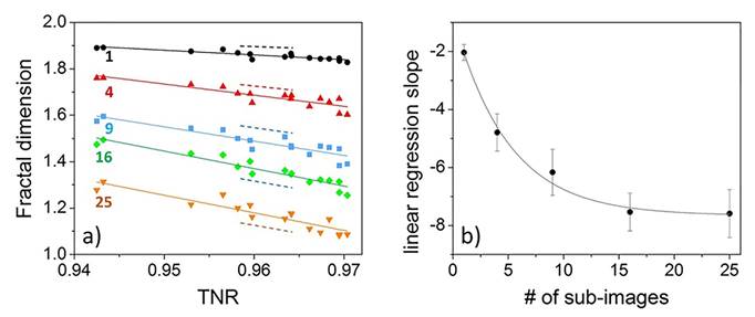 A proposal to measure the similarity between retinal vessel ...