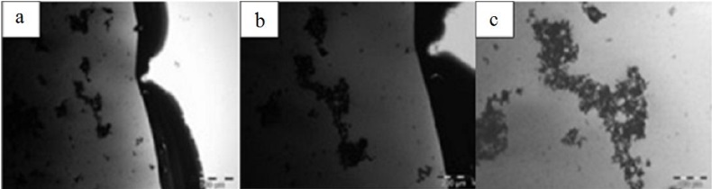 Analyzing The Dispersion Of Carbon Nanotubes Solution For Use In ...