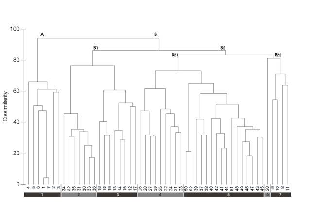 Forest fringe communities of the southwestern Iberian Peninsula