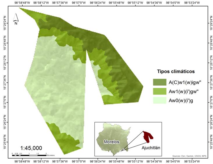 Tecnologías Agroforestales Para Una Selva Baja Caducifolia: Propuesta ...