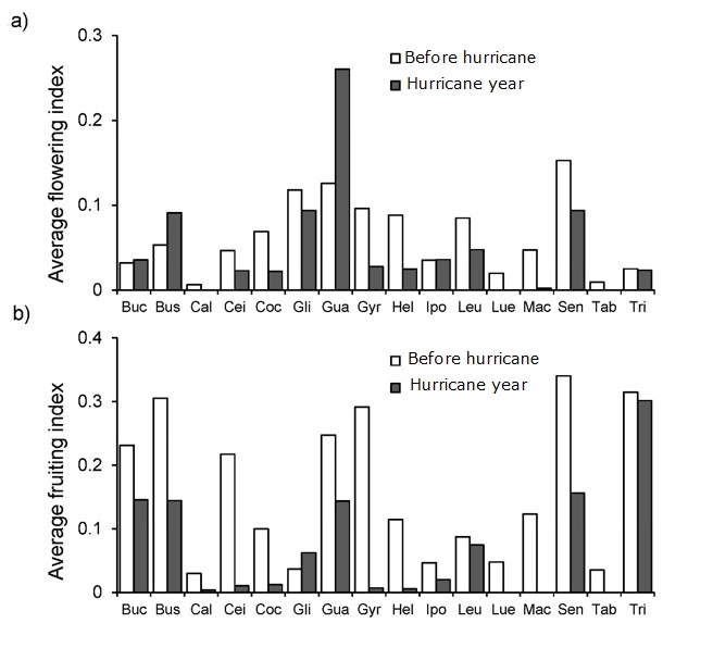 Tree Damage, Growth And Phenology After A Hurricane In A Tropical Dry ...