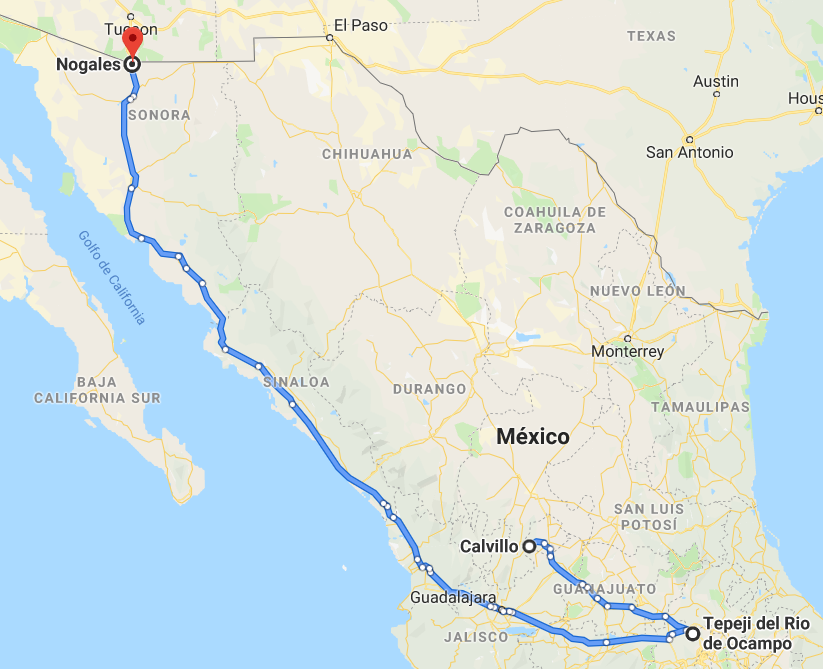 Colapsa exportación de guayaba a Estados Unidos - El Sol del Centro   Noticias Locales, Policiacas, sobre México, Aguascalientes y el Mundo