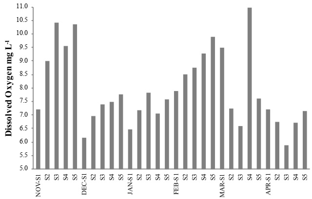 Influence of physicochemical parameters on phytoplankton distribution ...