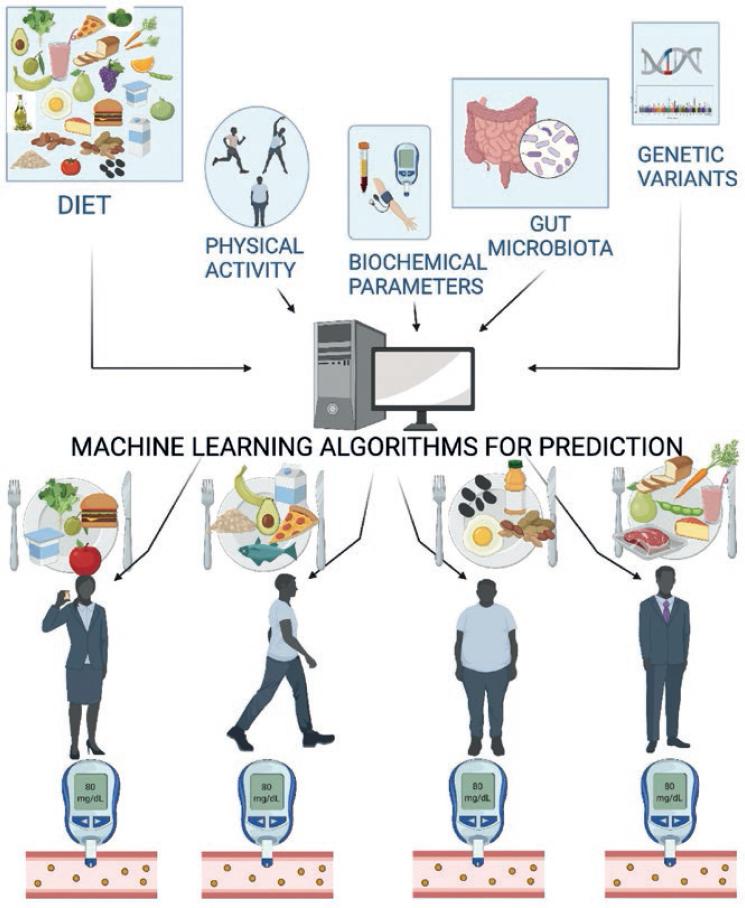 the-present-and-future-of-personalized-nutrition